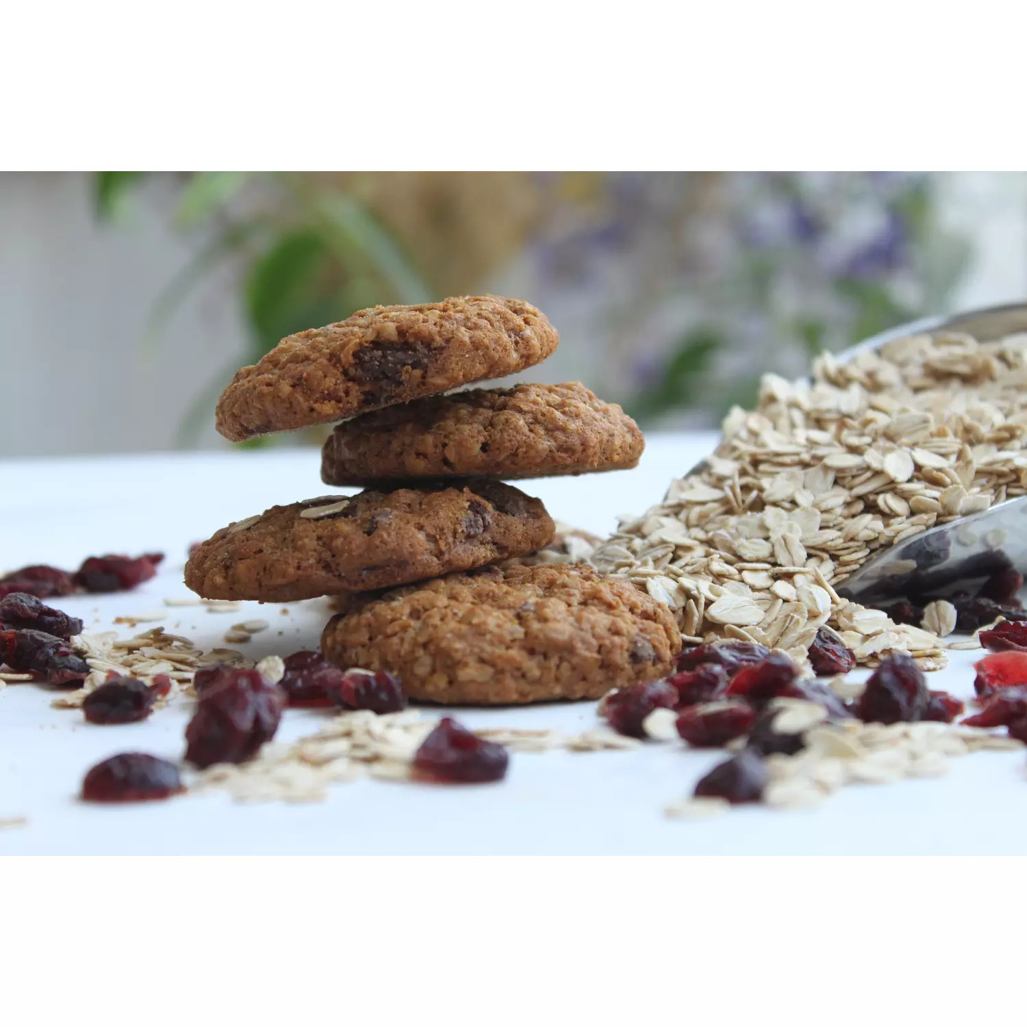 Oatmeal Canberry Cookies 2