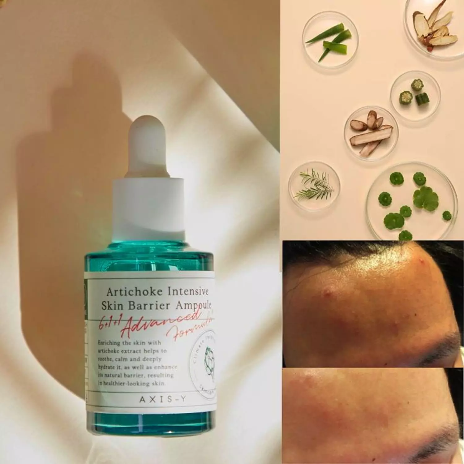 AXIS - Y - Artichoke Intensive Skin Barrier Ampoule hover image