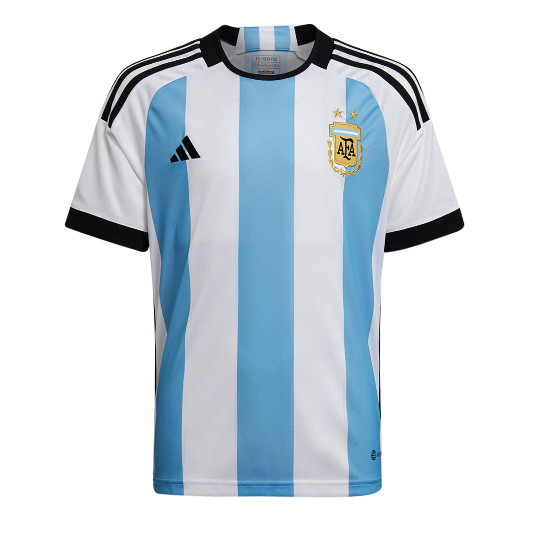 ARGENTINA WORLD CUP 22 - FANS 0
