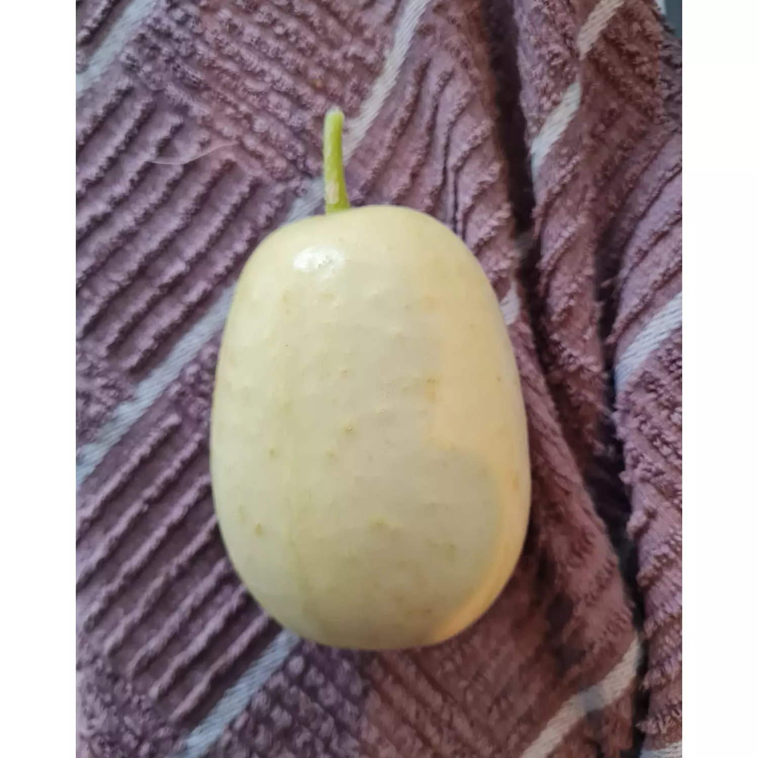 White Cucumber seeds 1