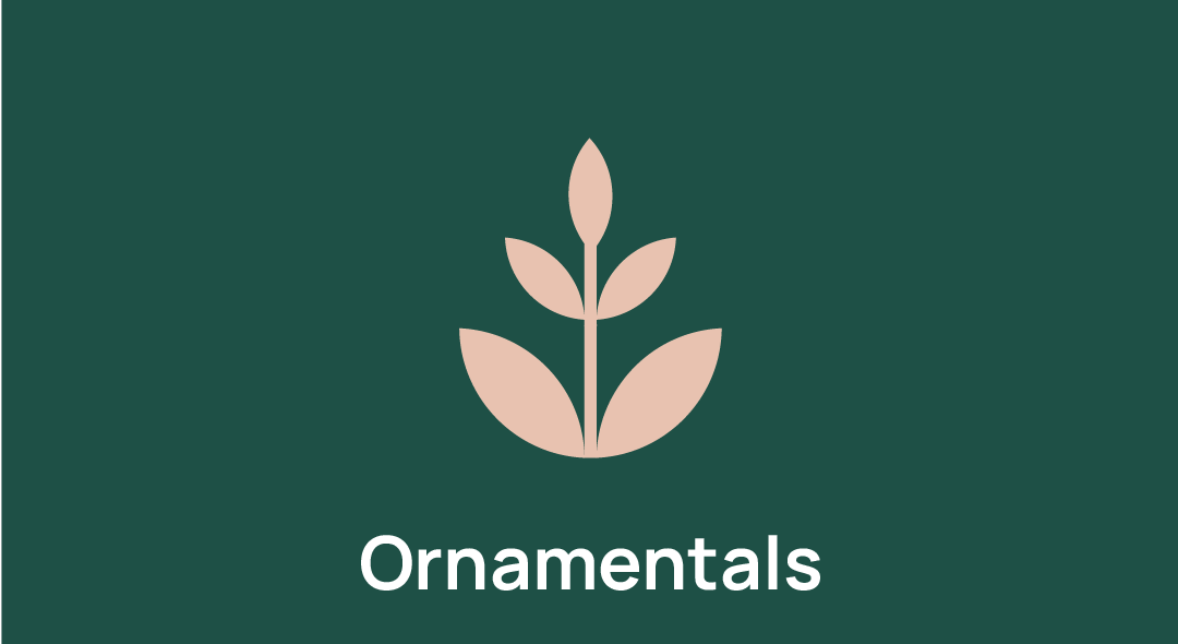 Ornamentals Img