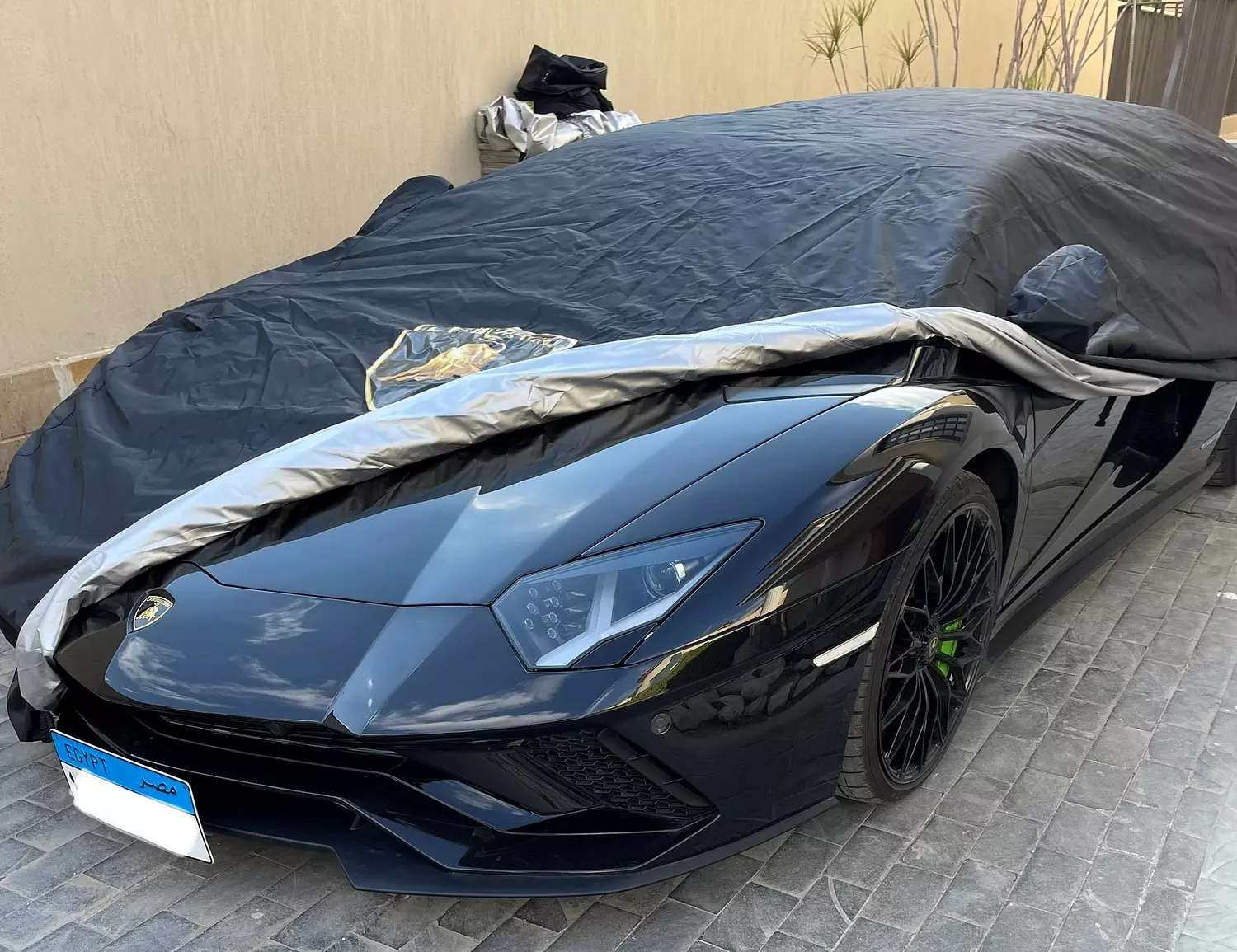 Lamborghini hover image