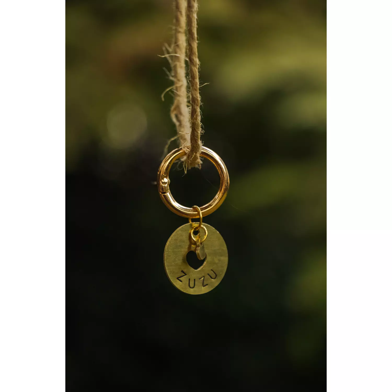 Love Bound Pet Tag & Charm hover image