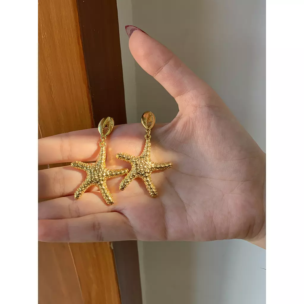 Starshe earrings 