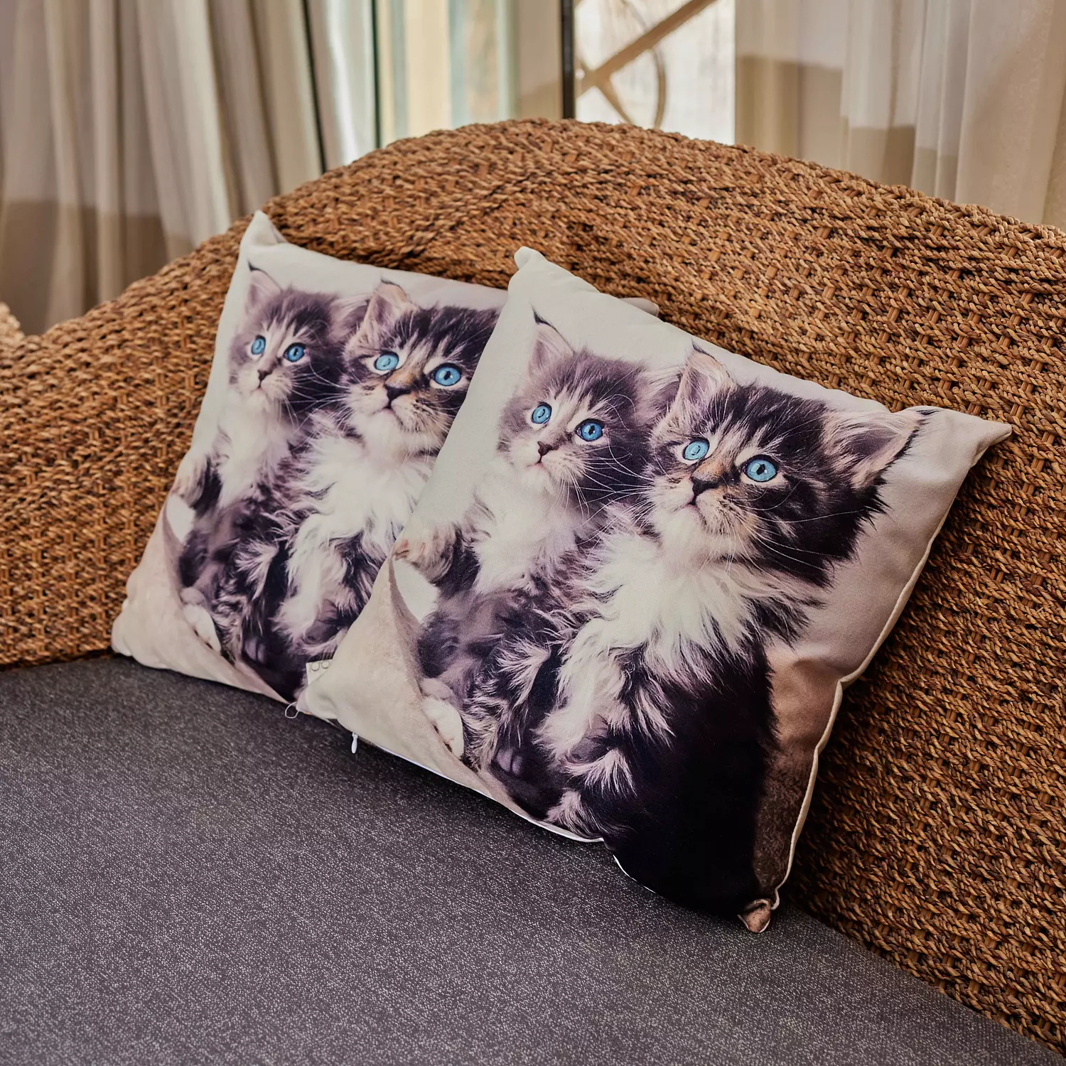 Cat Cushion  hover image