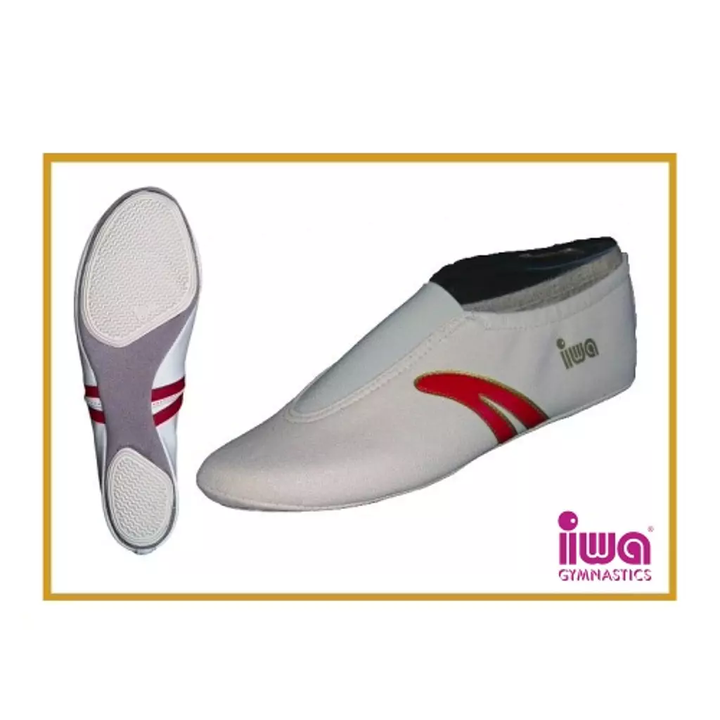 IWA-Artistic Gymnastics Shoes (Art.402)