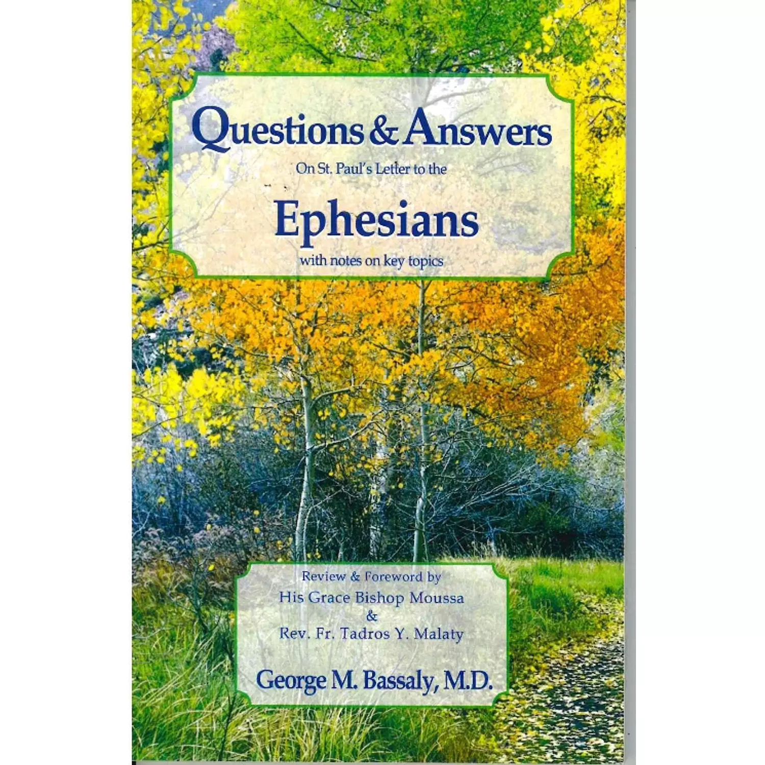 Questions Answers Ephesians hover image