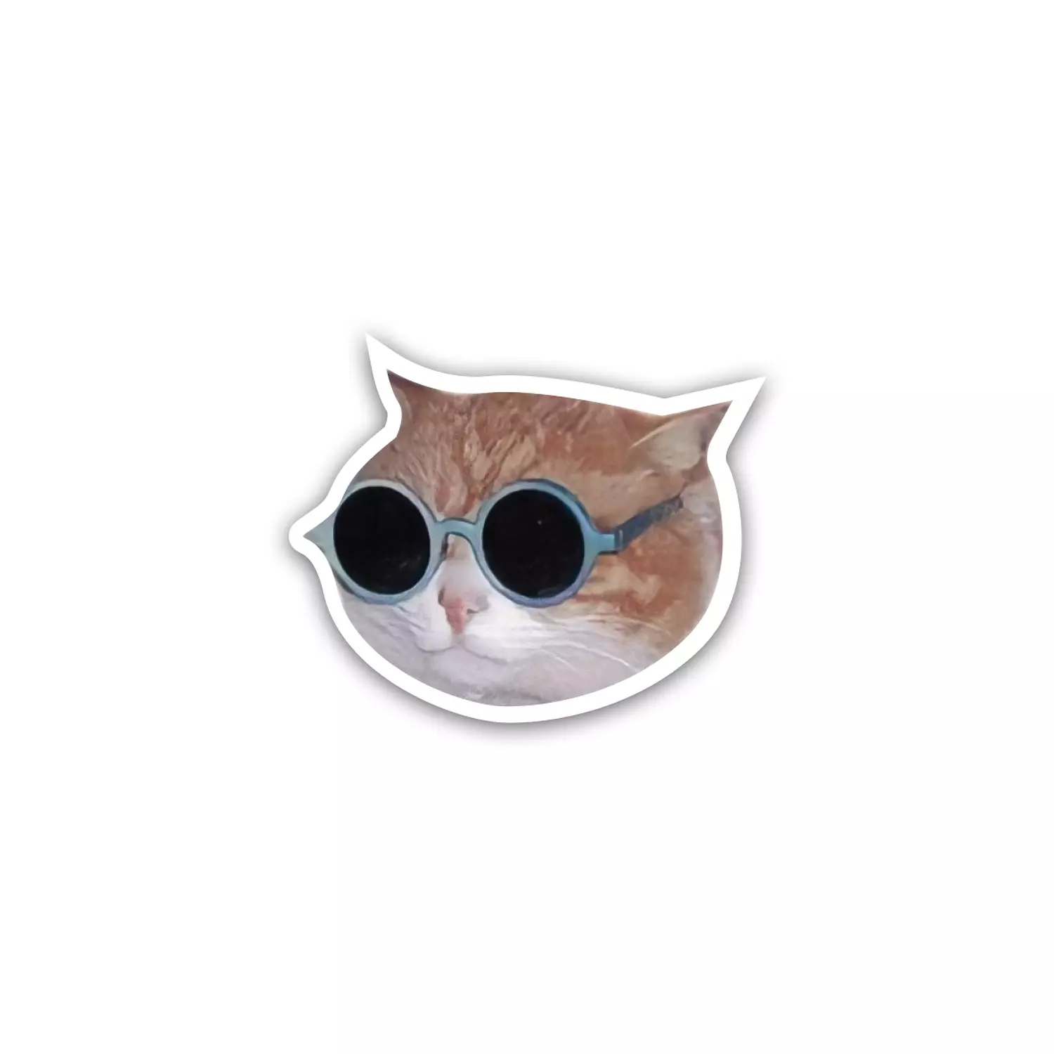 Cat Sunglasses 😎 meme hover image