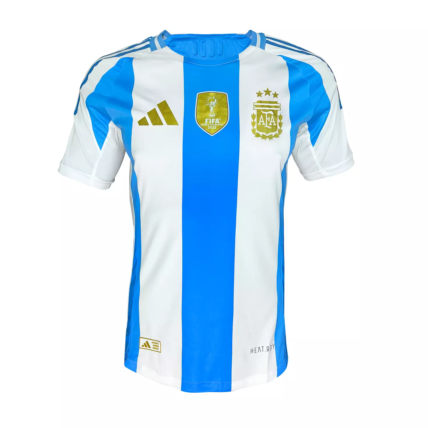 ARGENTINA COPA 24 PLAYER - NATIONAL  hover image