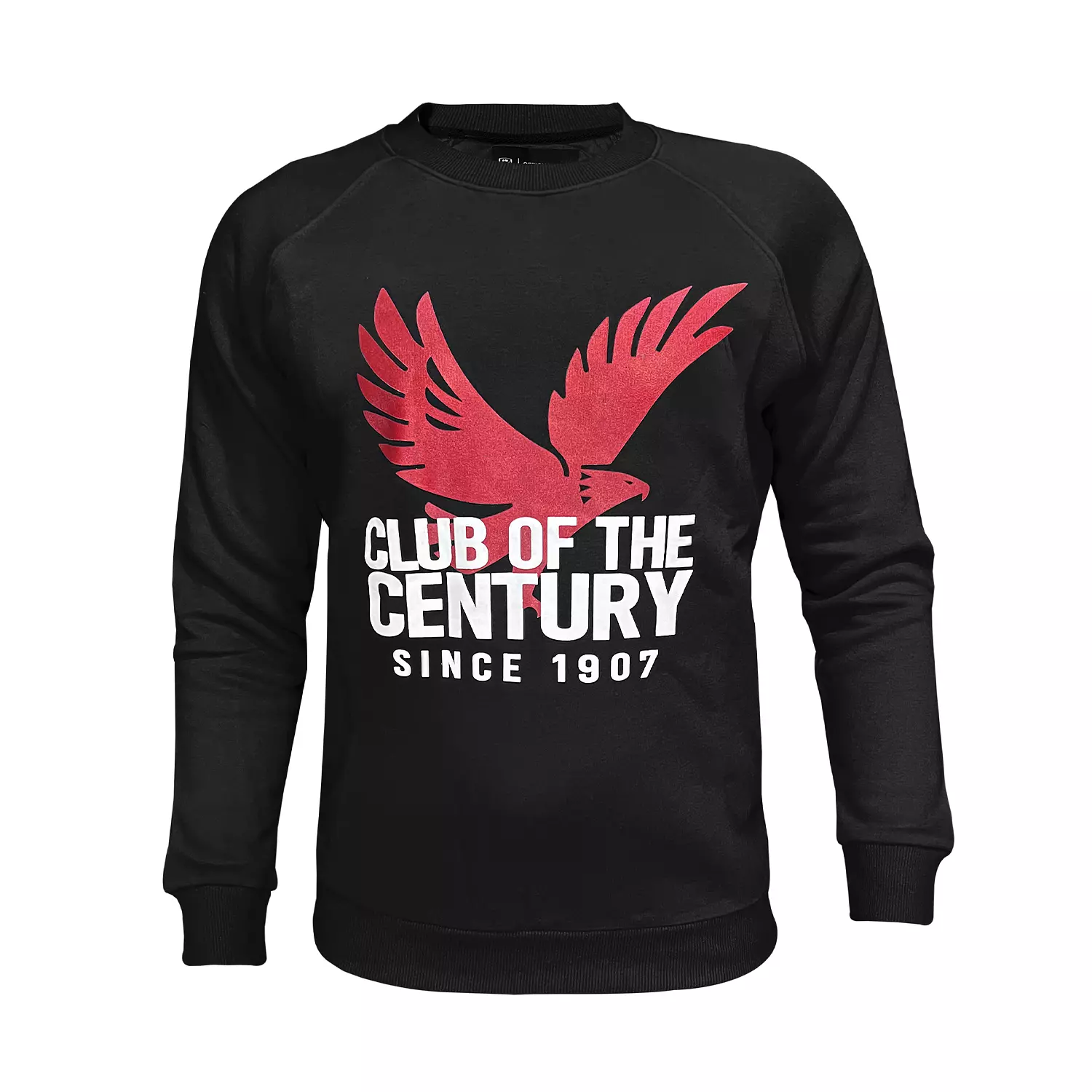 AL AHLY - SWEATSHIRT hover image