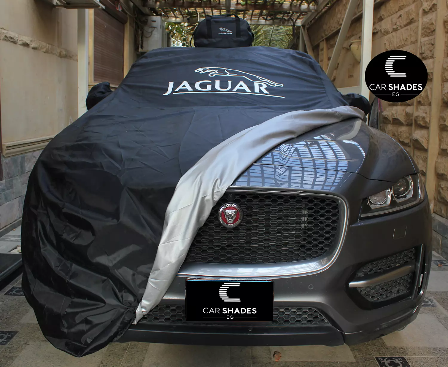 Jaguar hover image