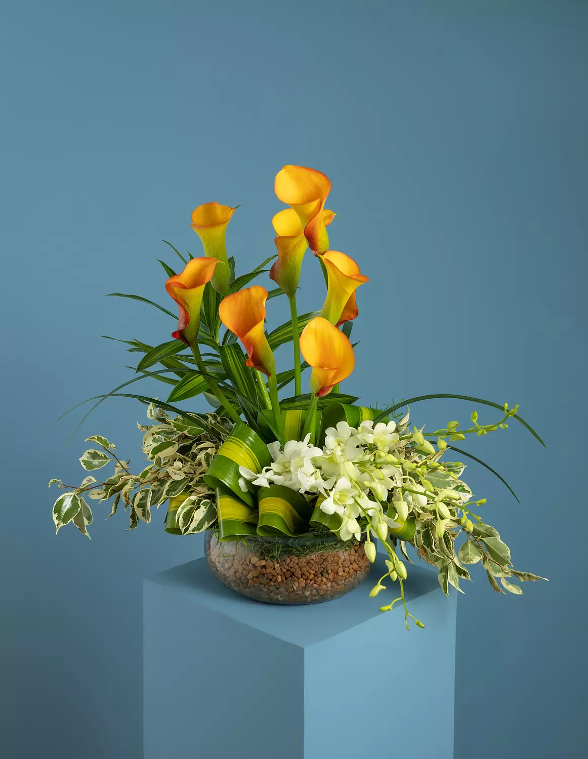 Growing Love Flower Vase 0