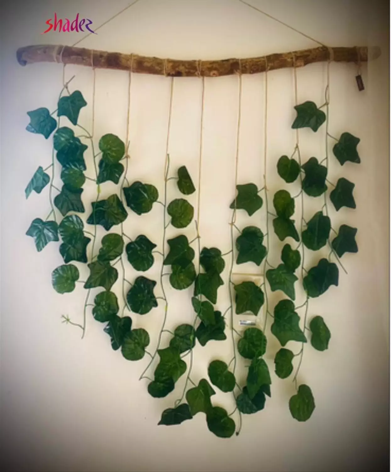 Wall plant hanger hover image