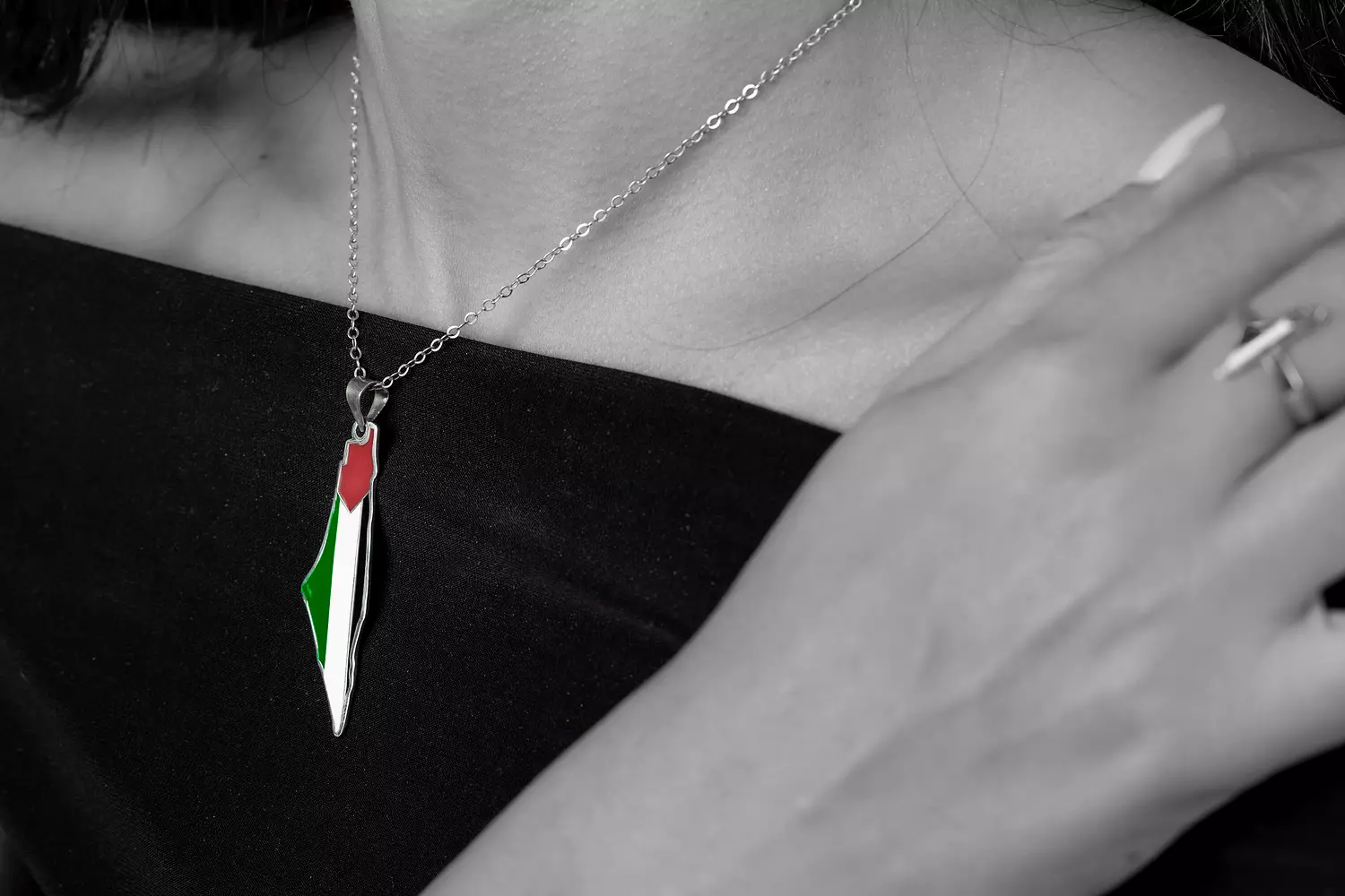 Palestine Map Flag Necklace 1