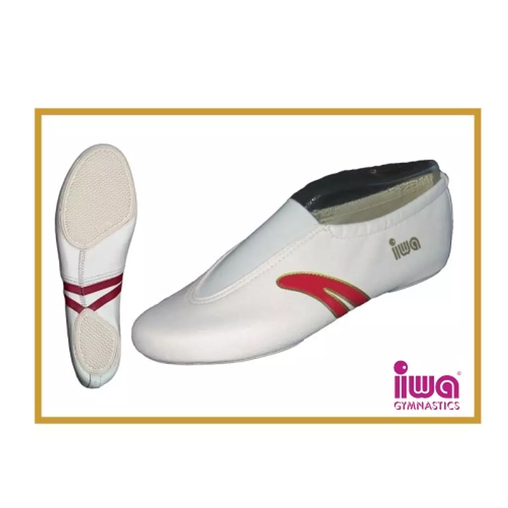 IWA-Artistic Gymnastics Shoes (Art.502)