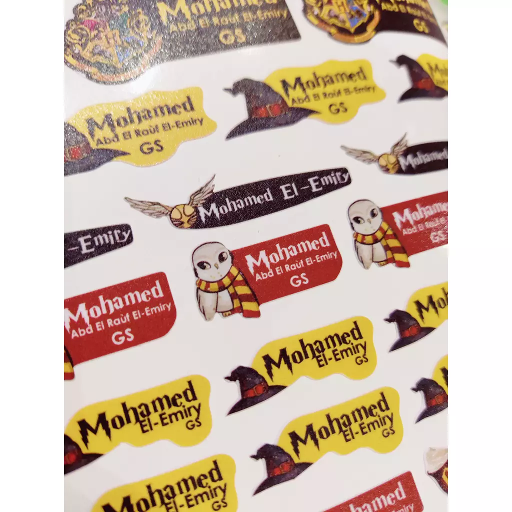 Harry potter School Labels Stickies