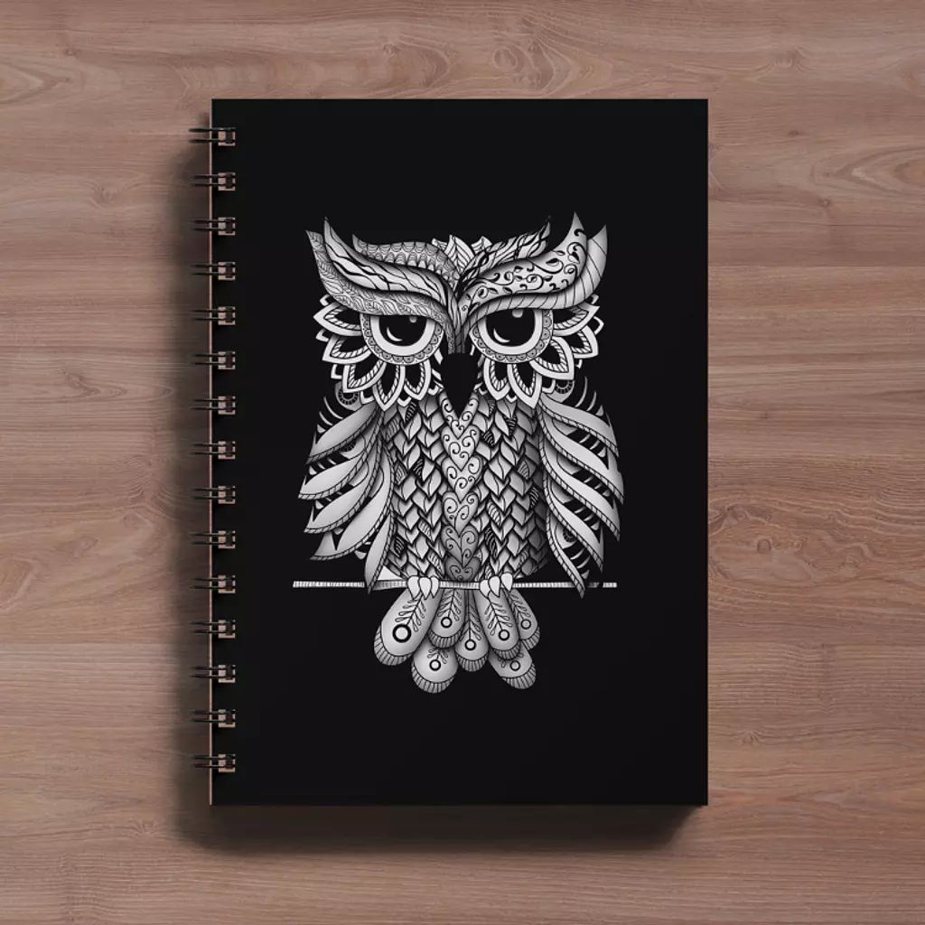 illustration (owl)