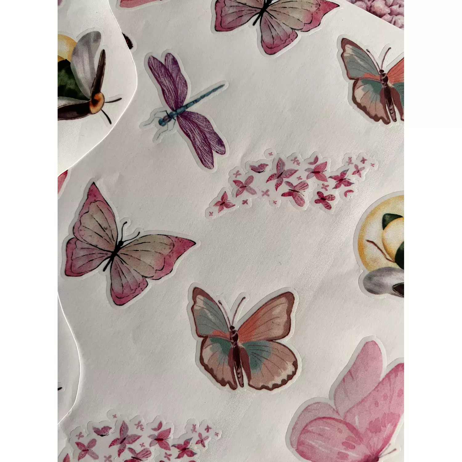 Dragonflies and Butterflies Stickers Pack 3