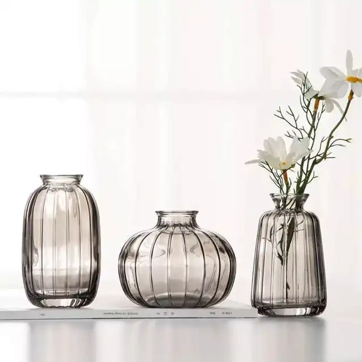 Set vases (04) hover image