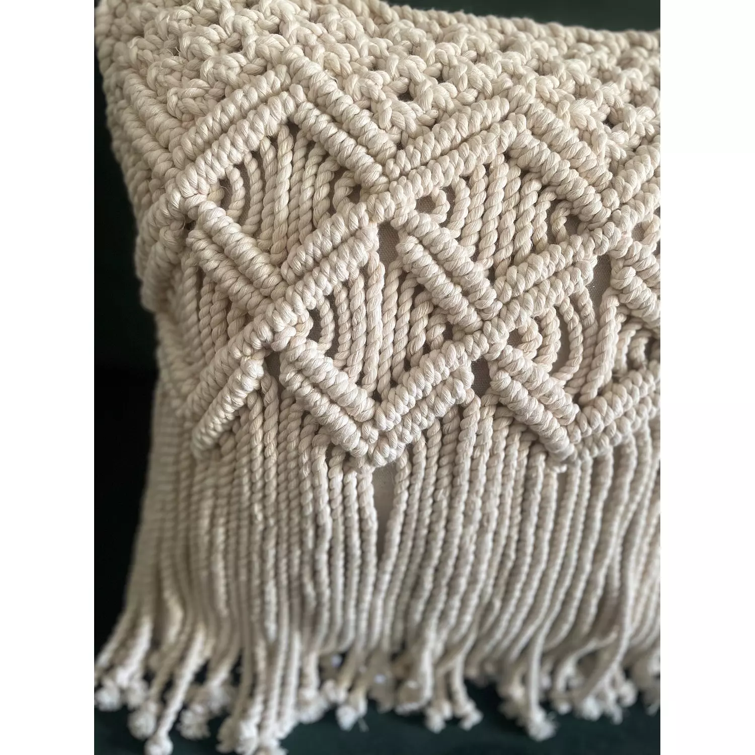 Wings Cotton Macrame Cushion      2