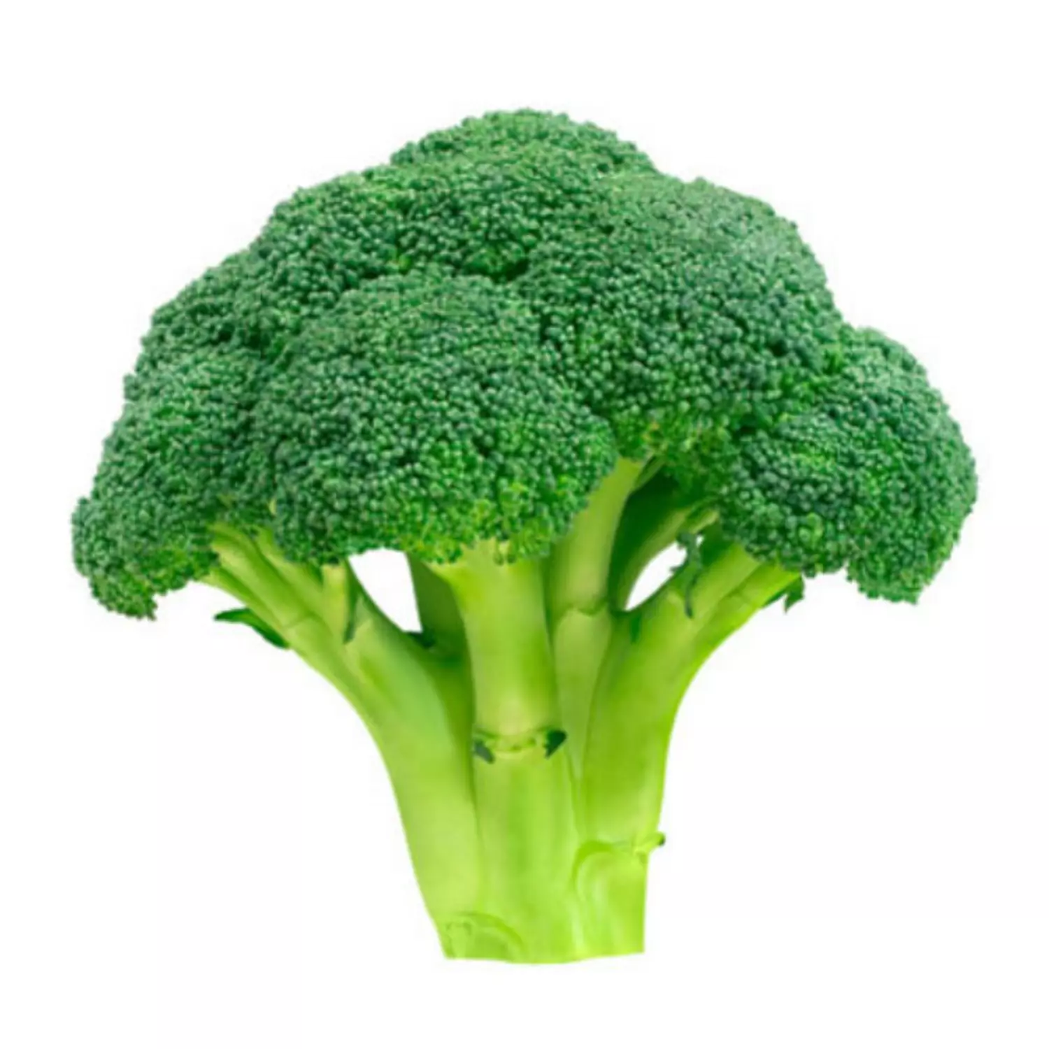 Broccoli hover image