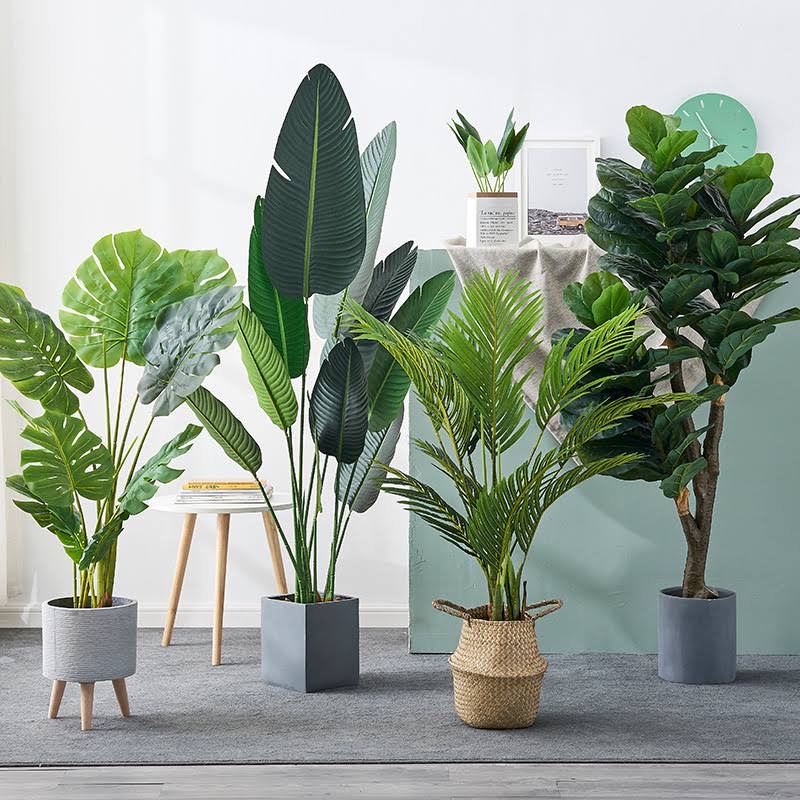 Artificial Plants Img