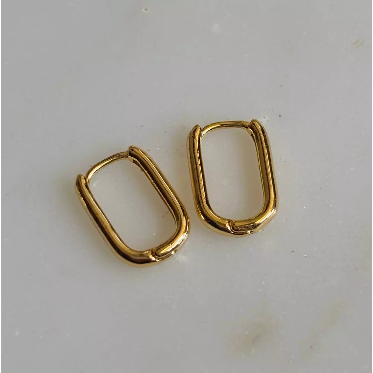 Oval Hoop Earrings hover image