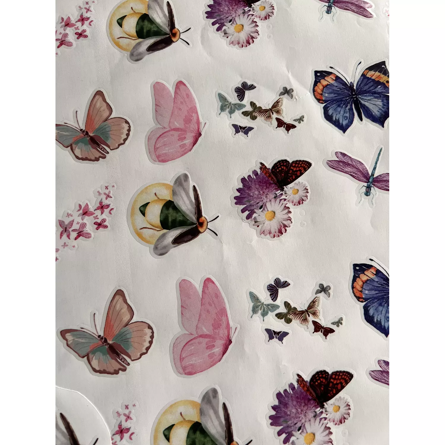 Dragonflies and Butterflies Stickers Pack 6