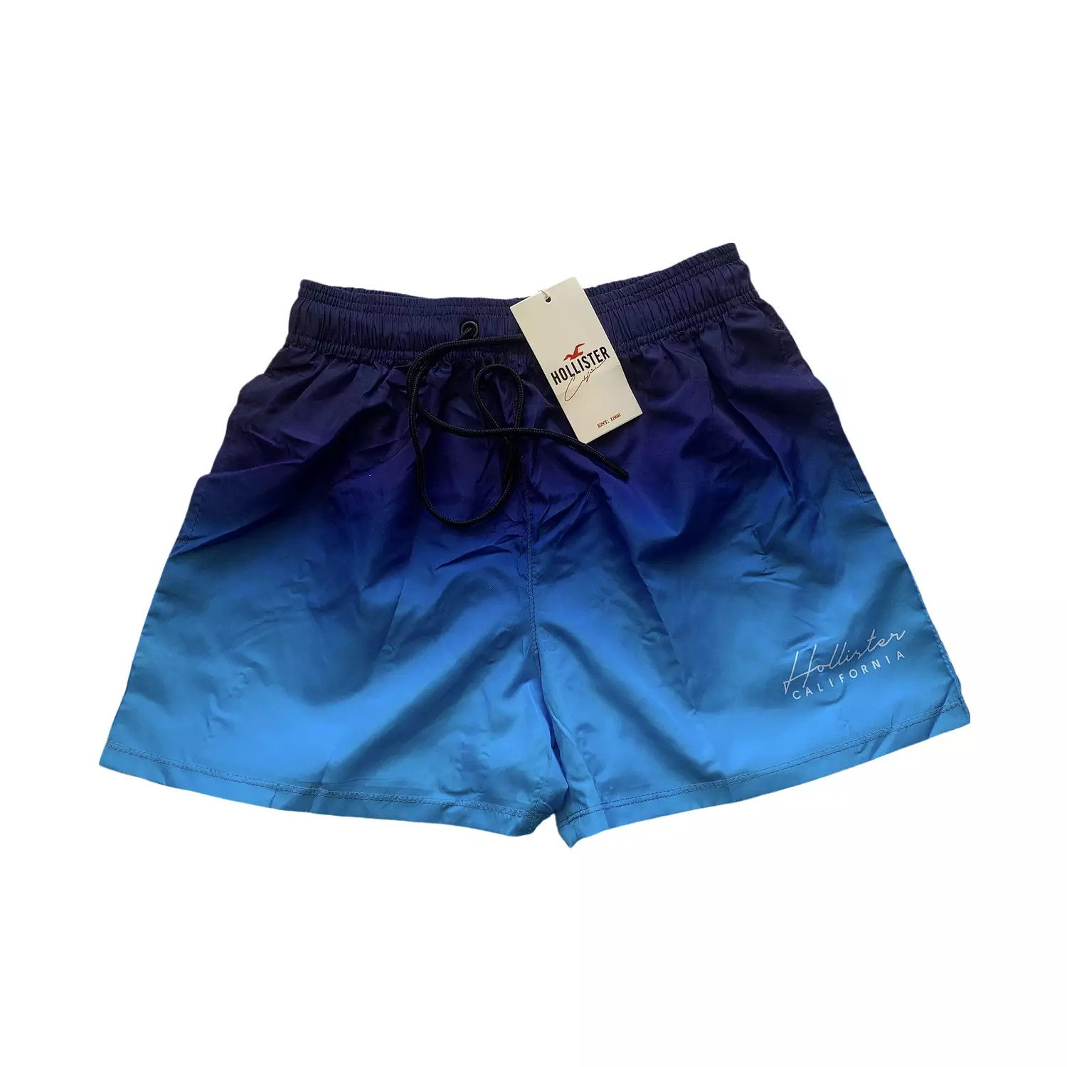 Hollister Gradient Blue Swim Short  hover image