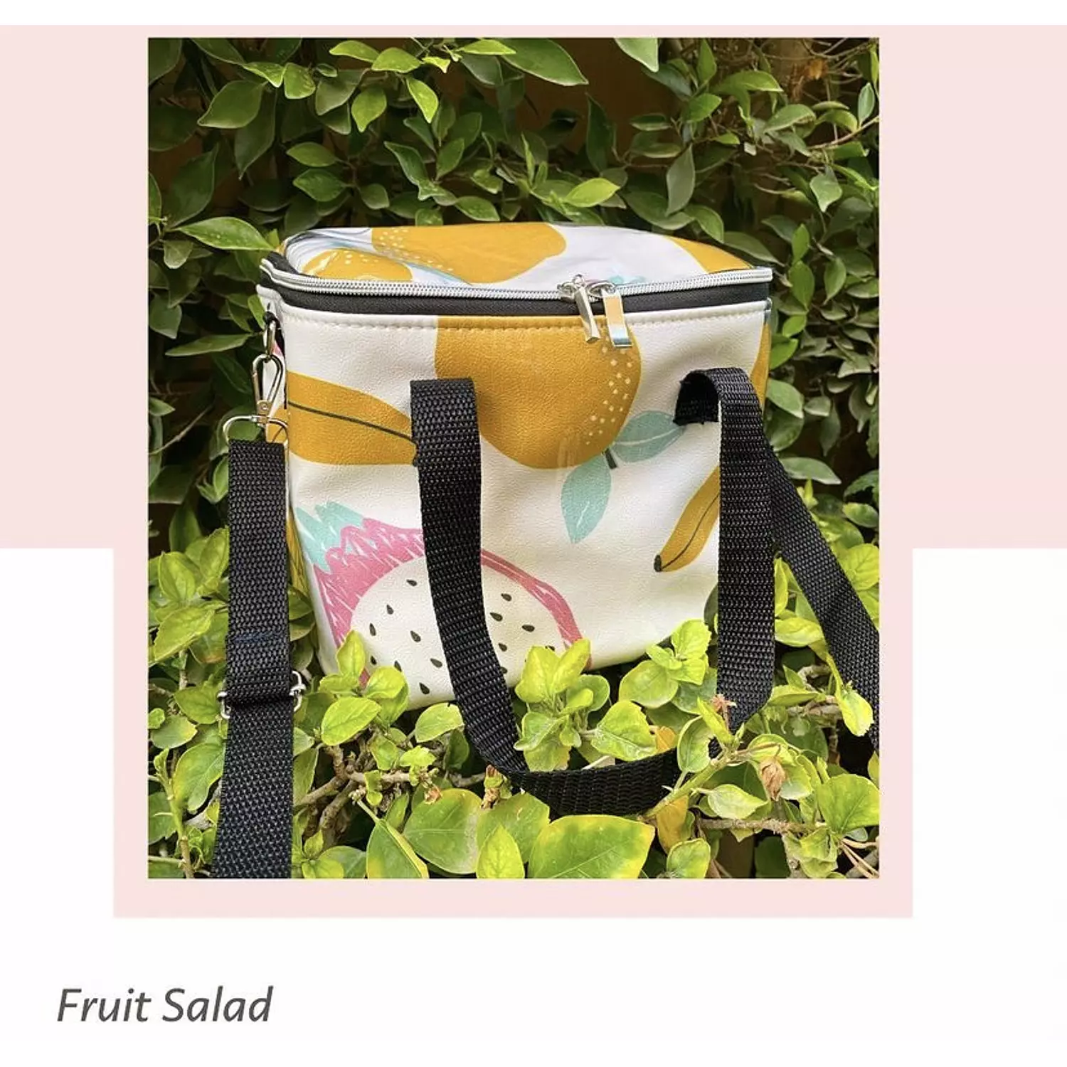 Mixed Fruits Family Lunchbag (by order) 3