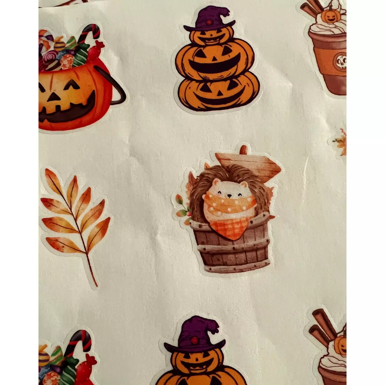 Limited Edition | Halloween & Autumn Stickers Pack 9