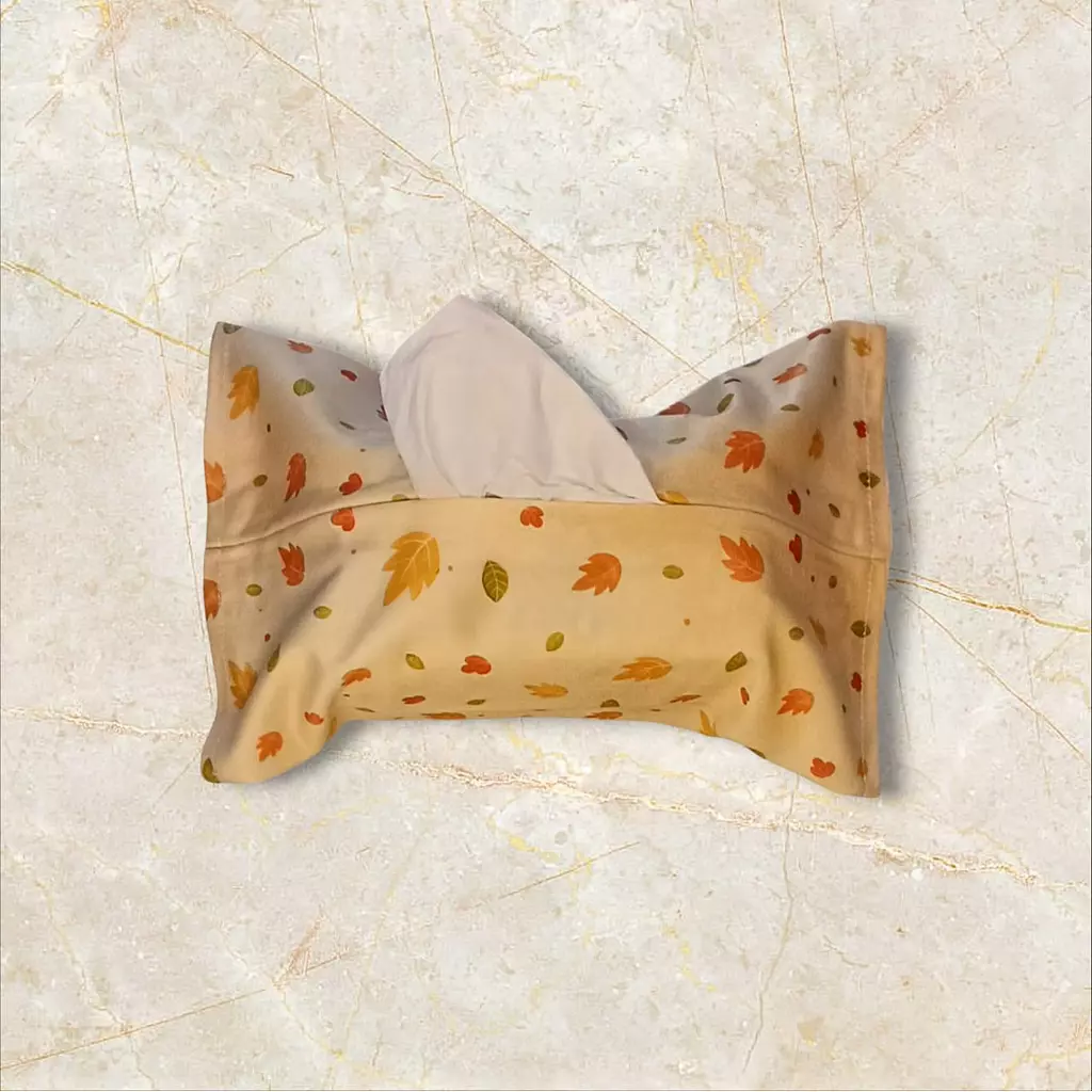 Modern Tissue Cover