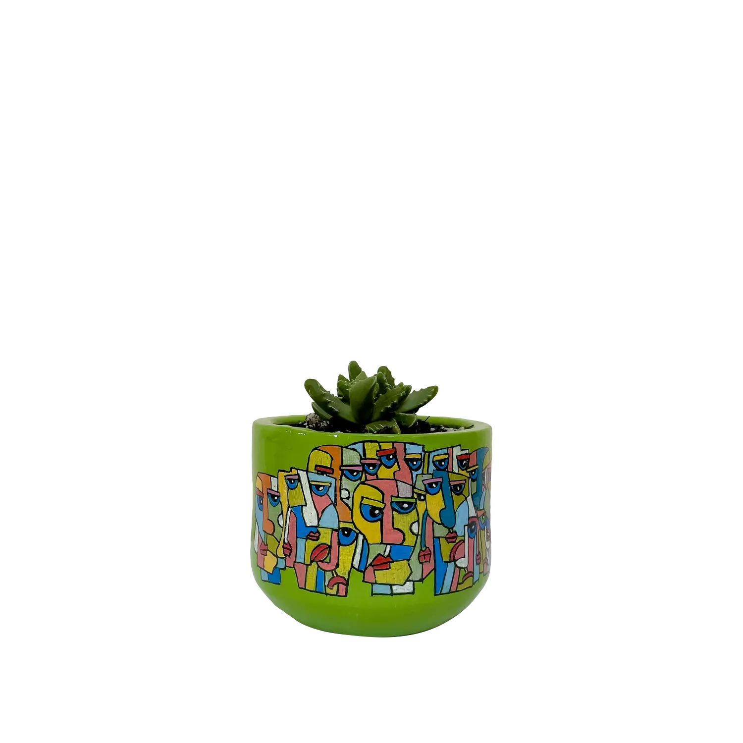 Faucaria Tigrina - Faces hover image