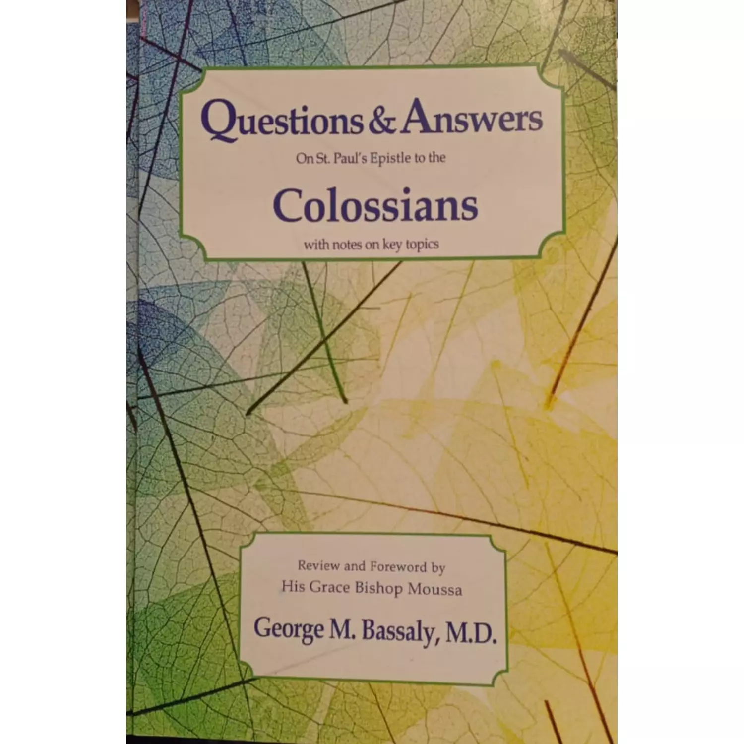 Questions & Answers Colossians hover image