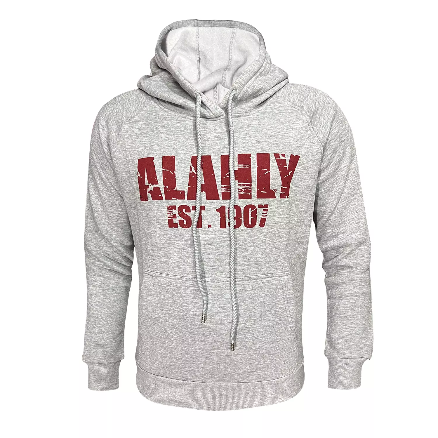 AL AHLY HOODIE - SWEATSHIRT hover image