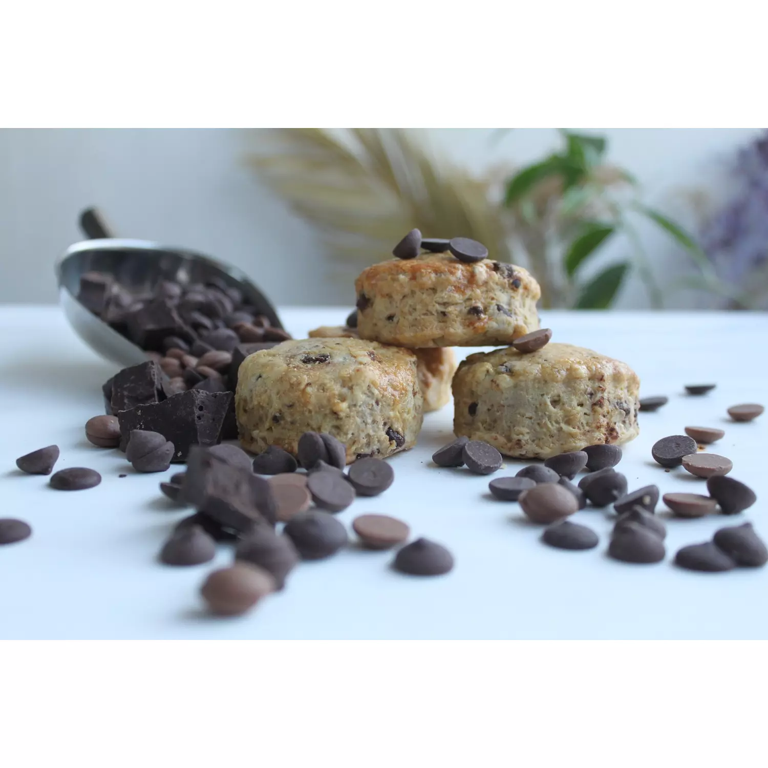 Chocolate Chip Tea Scones 5