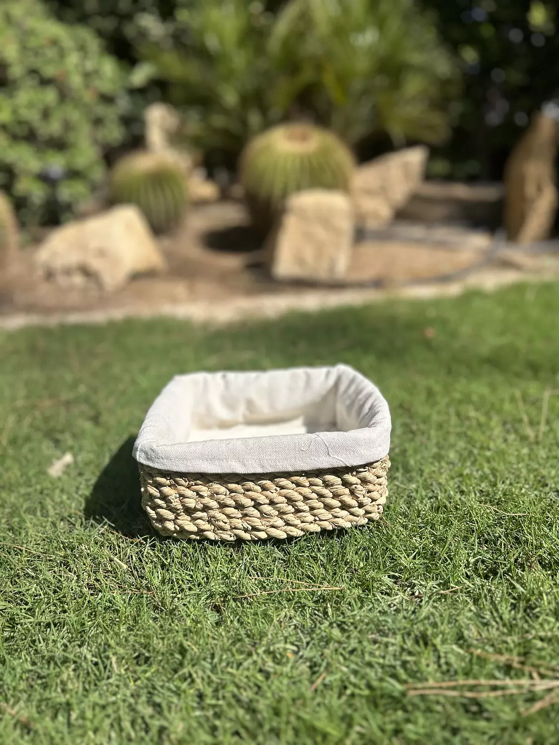 Boho Palm Basket hover image