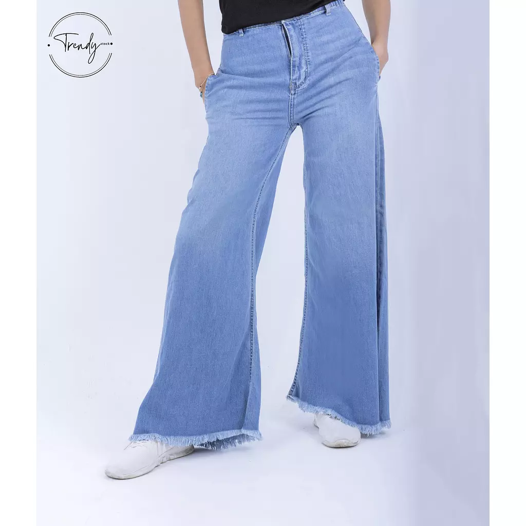 Wide Flare leg Jeans pants