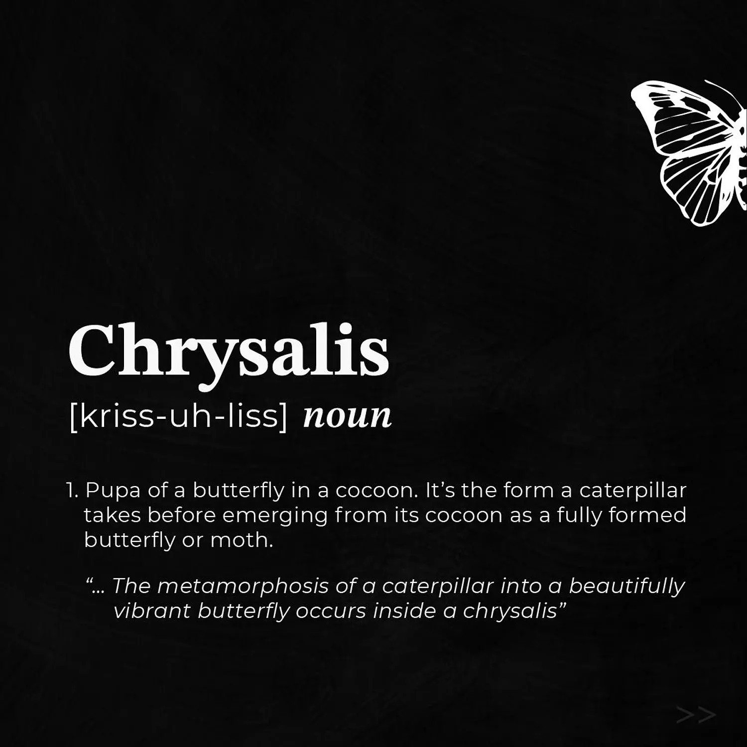 banner image for Chrysalis