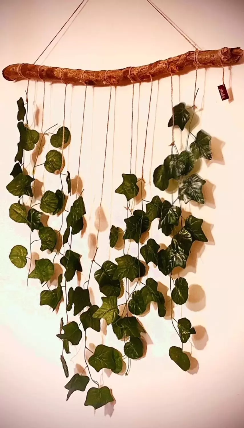 Wall plant hanger 2