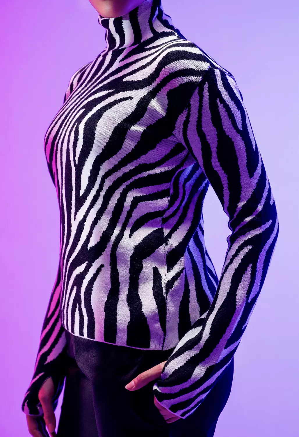 The Zebra Pullover 1