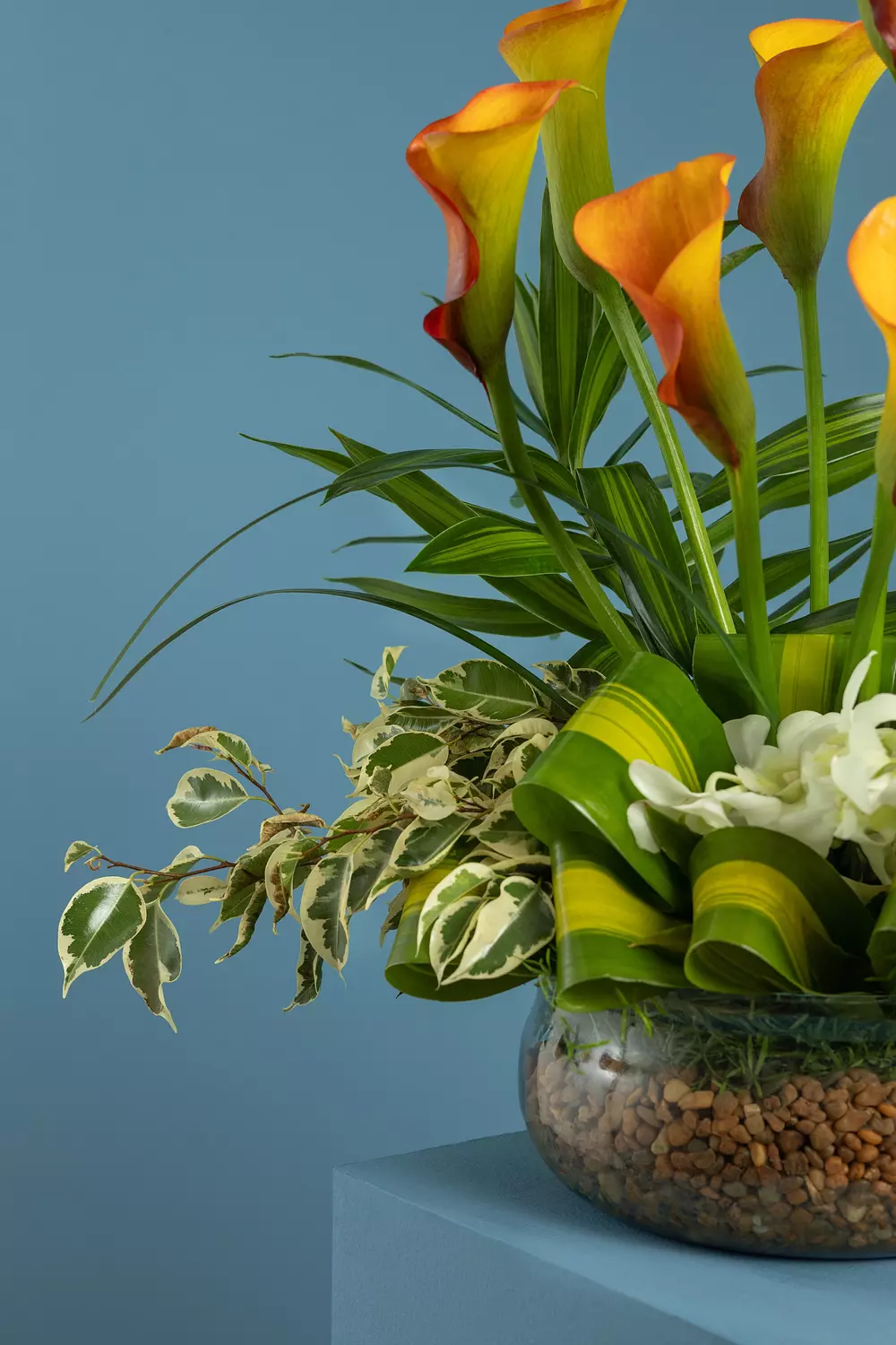 Growing Love Flower Vase 1